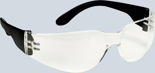 Ecobra Schutzbrille Standard, sportliche Einscheiben Schutzbrille