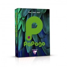 Kopierpapier Papago A4, 160g frühlingsgrün, intensiv