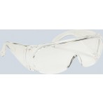 Ecobra Schutzbrille Profi, Einnscheiben Bügelbrille mit