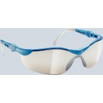 Ecobra Schutzbrille Standard, sportliche Einscheiben Schutzbrille