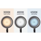Tischleuchte MAULgrace colour vario LED-Leuchte Standfuß dimmbar 6W