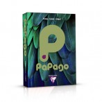 Kopierpapier Papago A4, 80g, hellgrün pastell