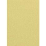 Farbiges Papier A4 120g Chamois 50 Blatt